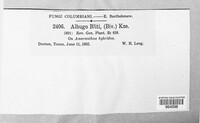 Image Associated With the Occurence
